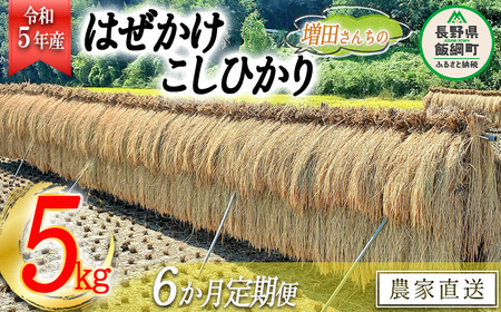 米 はぜかけ こしひかり 5kg × 6回 令和5年産 増田ファーム 沖縄県への配送不可 2023年11月上旬頃から順次発送予定 コシヒカリ 白米 精米 お米 信州 予約 農家直送 長野県 飯綱町 [0816]