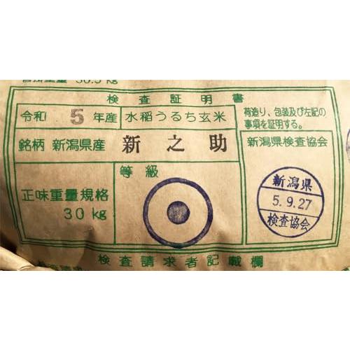 玄米 5kg 新潟 新之助（しんのすけ） (３分づき米に)