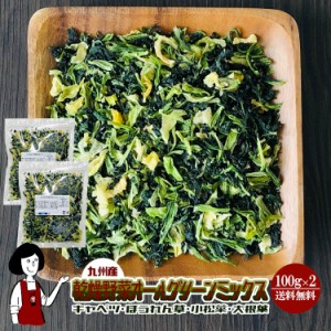 乾燥野菜オールグリーンミックス100g×2（計200g）〔チャック付〕／九州産 乾燥野菜 キャベツ ほうれん草 小松菜 大根葉 メール便 送料無