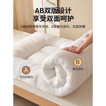 冬季加厚羊羔絨床墊軟墊被褥子宿舍專用學生單人珊瑚毛絨鋪床墊子