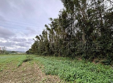 專委～近楊梅天成醫院.楊梅交流道.工業區旁～都計農｜桃園市楊梅區東流段