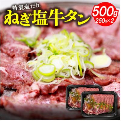 ふるさと納税 上毛町 ねぎ塩牛タン500g(250g×2)