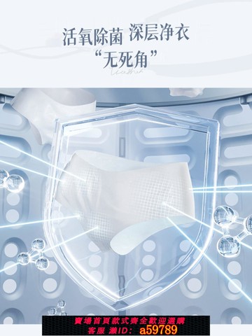 【台灣公司 可打統編】双岭全自动迷你洗衣机内衣裤洗衣神器110V洗袜子机洗脱一体带烘干