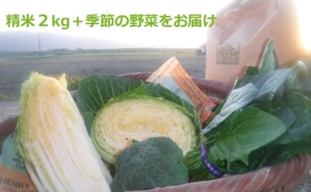 米 2kg 季節野菜 セット 精米 ゆめつくし