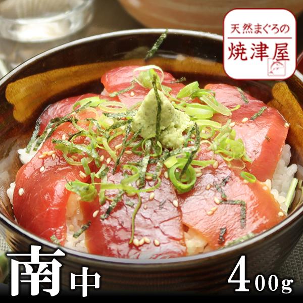 送料無料　南鮪（ミナミマグロ） 中トロ 4人前 約400g  お歳暮  年末年始 冬ギフト 贈答用 海鮮 ごちそう グルメ