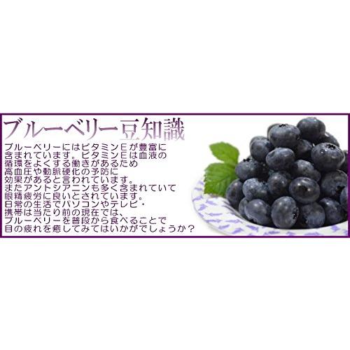 ブルーベリー 国産 1kg 山形産 冷凍