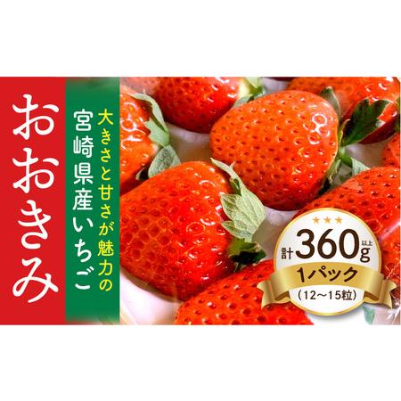 ふるさと納税 宮崎県産 イチゴ おおきみ 1パック (360g以上:12粒〜15粒程度) いちご 苺 果物 期間・数量限定 宮崎県宮崎市