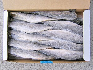 氷下魚(コマイ)天日干 1Kg (L 20尾前後）北海道根室産こまい一夜干