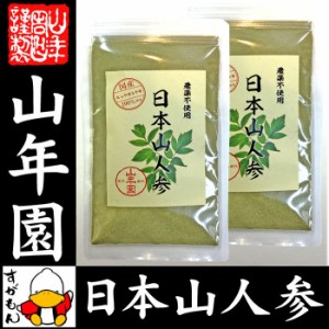 日本山人参 粉末 ヒュウガトウキ 50g×2袋セット パウダー 宮崎県産ノンカフェイン 日本山人参茶 送料無料 お茶 お