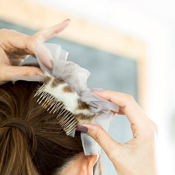 盛開的梳子豹，毛色