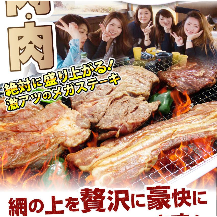 牛肉 肉 ステーキ＆焼肉 BBQ ギガ盛り 3kg超 福袋 肉祭り セット タレ ハサミ トング トレー付き お歳暮 ギフト 食品 キャンプ キャンプ飯