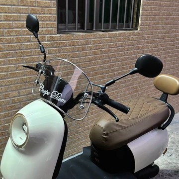 【臺灣出貨】電動車擋風板九號愛瑪小牛臺鈴電瓶車裝飾防風復古個性改裝小玻璃