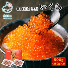 北海道産いくら 500g(250g×2) D2-5