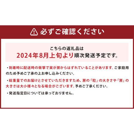 ふるさと納税 ご家庭用 旬のぶどう食べ比べ 完熟巨峰 シャインマスカット 詰め合わせ 計5パック 約1.5kg  長崎県時津町