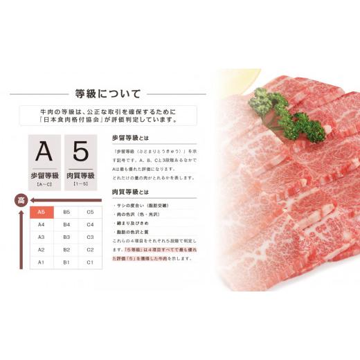 ふるさと納税 鹿児島県 南さつま市 A5等級 黒毛和牛 霜降り焼肉用 400g 牛肉 焼肉 BBQ お肉 小分け 冷凍 カミチク 南さつま市