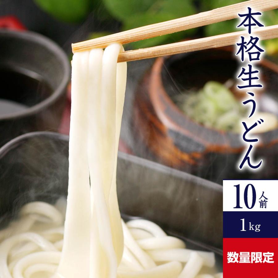 手延べうどん 「数量限定 本格生うどん」 1kg 半生麺 かも川 かも手の麺 かも手うどん ポイント消化 敬老の日 ギフト グルメ