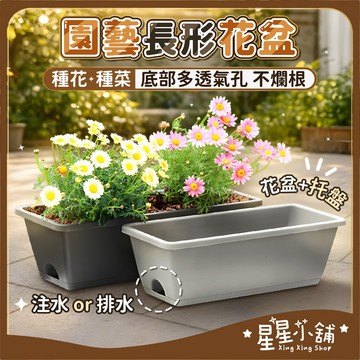台灣現貨 長形花盆 盆托一體 長方形花盆 長形盆 花盆種菜盆 盆栽容器 控根盆 菜盆 花槽 植物花盆 霍倫盆 星星小舖
