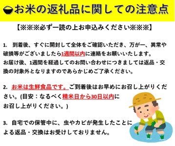 美人を育てる秋田米「あきたこまち」5kg　8ヶ月定期便[F2402]