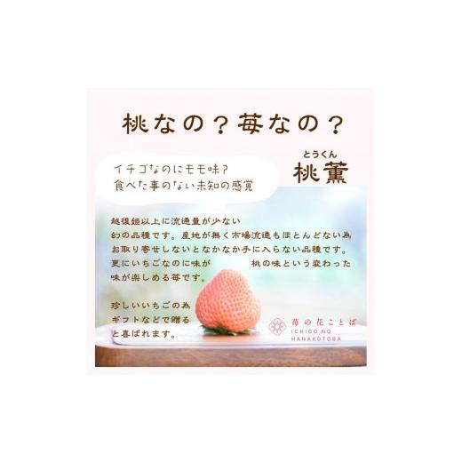 ふるさと納税 新潟県 上越市 ギフト箱入り　雪国完熟いちご越後姫桃薫　食べ比べセット ダブル（約760g）