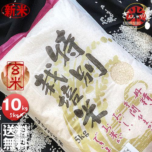 新米 米 10kg 5kg×2袋セット お米 玄米 ゆめぴりか 北海道産 特別栽培米 玄米 白米 分づき米 令和5年産 送料無料