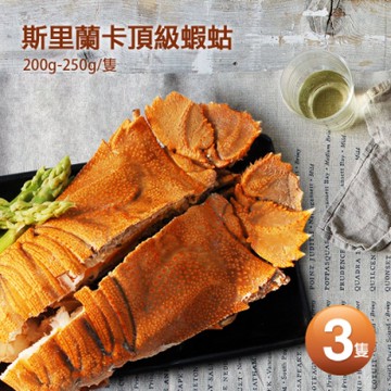 築地一番鮮-斯里蘭卡頂級蝦蛄3隻(200g-250g/隻)-免運組