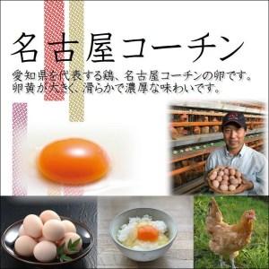 ふるさと納税 業務用　日本三大地鶏！！ 「純系　名古屋コーチンの卵」（90個）　本当に美味しい食べ物は調味料の味に負けません！【卵 たまご .. 愛知県大府市