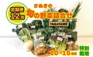 野菜 特別栽培 定期便 大容量 セット 12回 1年間 詰め合わせ 栽培期間中農薬不使用 10～15種類 旬の採れたて お野菜 詰め合わせ セット（3～4名様）