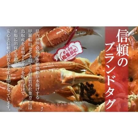 ふるさと納税 松葉ガニ タグ付き生松葉ガニ（特大950g） 松葉ガニ 松葉がに かにかに カニ 蟹 生 新鮮 かに カニ 蟹 カニ 蟹 生 鳥取県倉吉市