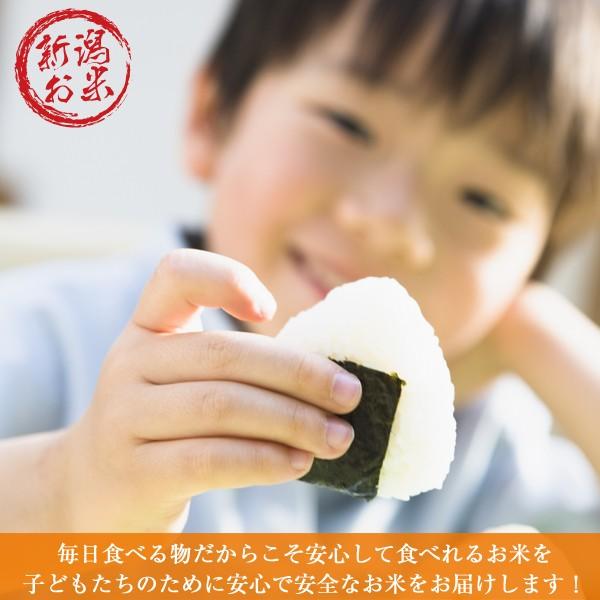 新米 特A ゆめぴりか 10kg (5kg×2袋 令和5年産 北海道産 送料無料 お米 精白米