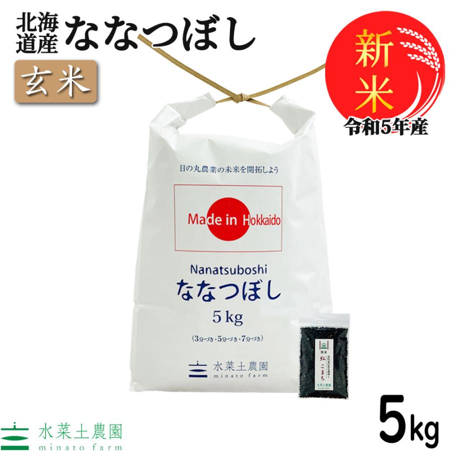 新米 米 お米 米5kg 玄米 ななつぼし 令和5年産 北海道産 古代米お試し袋付き