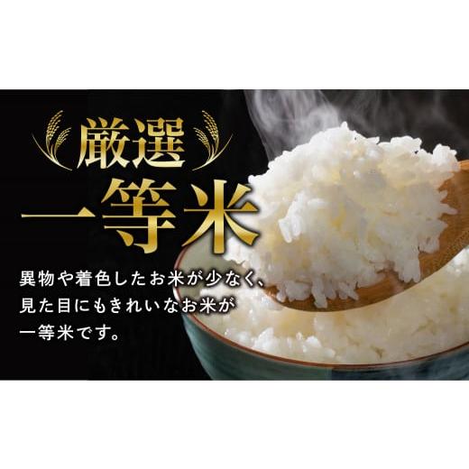 ふるさと納税 福島県 田村市 ＼ 年内発送 12／24(日)決済完了分まで！／定期便3回 田村市産 ひとめぼれ10kg 毎月 お届け お米 福島県 田…