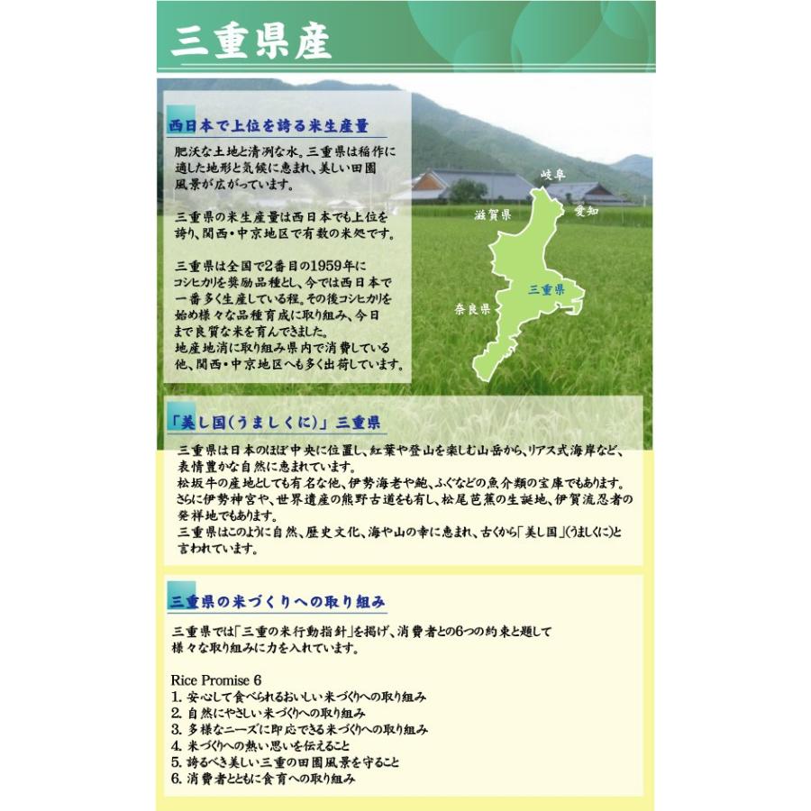 新米 コシヒカリ 5kg×2 米 三重県産 精白米 白米 精白米 10kg 令和5年産 送料無料