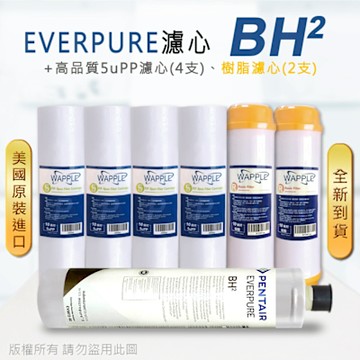 【Everpure】美國原廠平行輸入 BH2 濾心+高品質前置5uPP濾心+樹脂濾心(7支組)