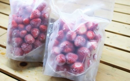 フレッシュ冷凍イチゴ春摘み「さがほのか」500g×2袋