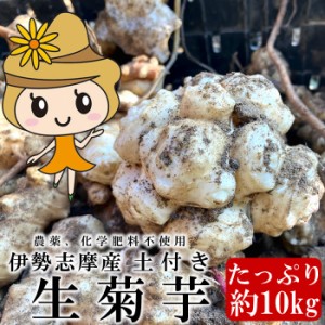 生菊芋 新物菊芋 土付き 10kg 生菊芋 イヌリン なまのキクイモ 三重県伊勢志摩産 化学肥料不使用 農薬不使用 血糖値抑制 低カロリー 美容