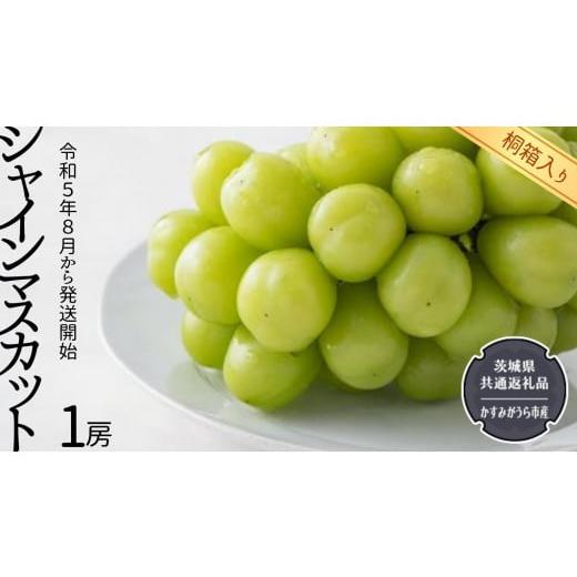 ふるさと納税 茨城県 つくばみらい市  シャインマスカット 1房 （県内共通返礼品：かすみがうら市産） 果物 フルー…