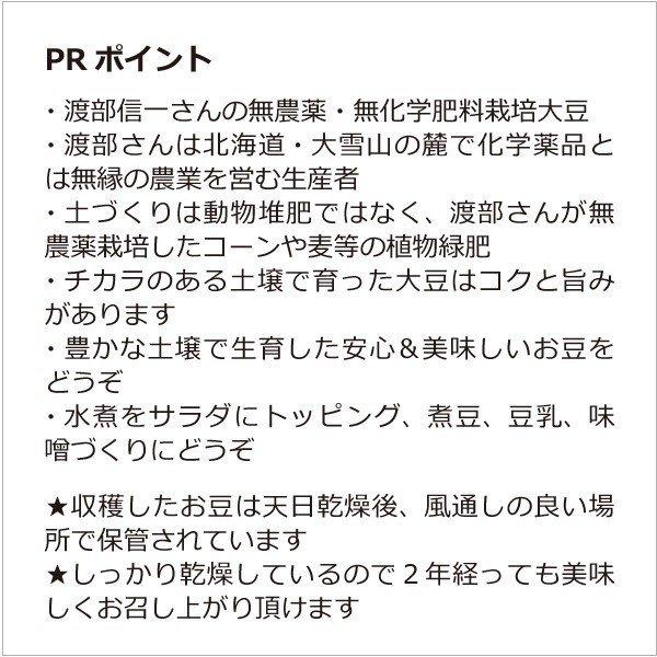 北海道産 無農薬大豆 渡部信一さんの大豆約1kg 品種は音更大袖 無農薬 無化学肥料栽培30年の美味しい大豆 渡部さんは化学薬品とは無縁の生産者