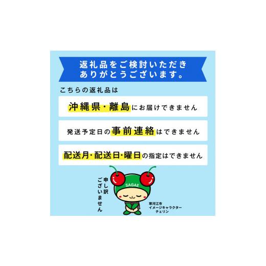 ふるさと納税 山形県 寒河江市 令和6年産 特秀品 さくらんぼ「 紅秀峰 」600g (300g×2パック) ２L以上 2024年産 山形県産 山形産 【2024年6月下旬頃〜7月上旬…