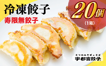 　餃子20個入り