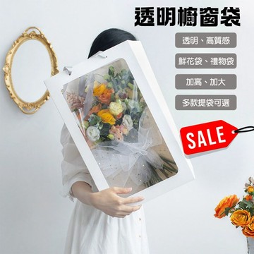 ⁺₊⋆生活大獅⋆₊⁺🌙 透明櫥窗袋 手提袋 透明提袋 禮品袋 鮮花袋 包裝袋 花束手提袋 紙袋 購物袋 加大 加厚 一個