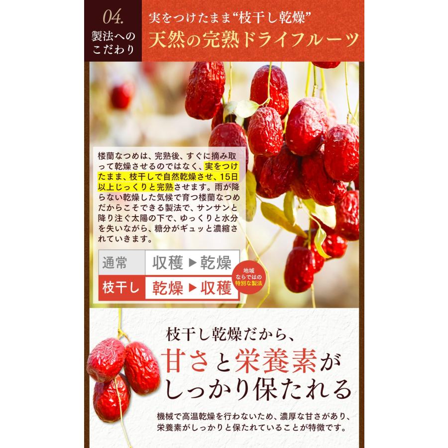 なつめ ナトゥリー 楼蘭なつめチップス 60g ナツメ ドライフルーツ 棗 なつめチップス