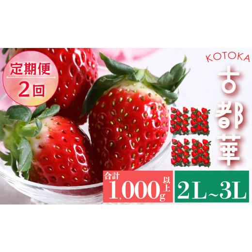 ふるさと納税 奈良県 平群町 いちご 平群の古都華 2L 〜 3L サイズ （2パック×2回）計4パック 扇田農園