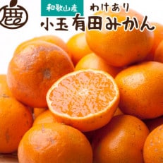 ＜先行受付＞家庭用 小玉な有田みかん5kg 150g(傷み補償分)