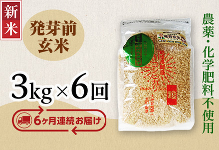 E1-20新潟県長岡産コシヒカリ 発芽前玄米 3kg
