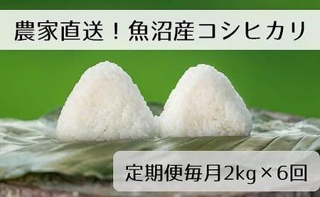 精米2kg　新潟県魚沼産コシヒカリ「山清水米」