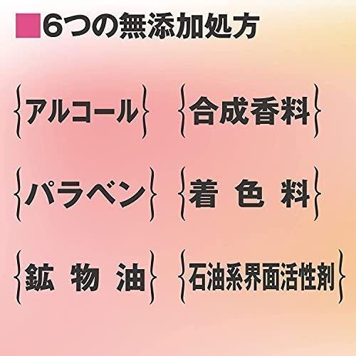 シンデレラタイム ブースターセラム ナノクレンジングゲル 敏感肌用 310mlx2本