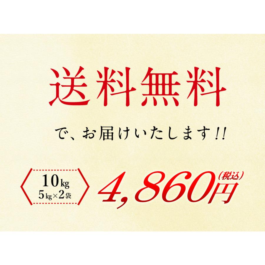 新米 新潟県産 コシヒカリ 10kg（5kg×2袋） 送料無料  令和5年度産 新潟県産 精米 米 お米 10kg（北海道・沖縄別途送料）（配達日・時間指定は不可）