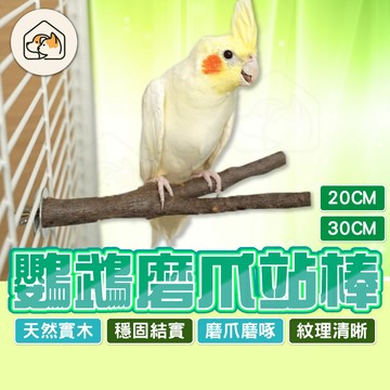 《家有毛孩🐾》鸚鵡磨爪站棒 樹枝木頭站棒 樹杈站棒 站桿 磨牙棒 磨爪棒 Y型分岔站棍 鸚鵡站棍  鳥籠布景  鳥類用品