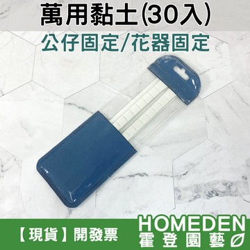 【隔日到貨】萬用黏土 30入 公仔固定 花器固定 假花 微景觀 裝飾品 手工DIY 萬能黏土【HOMEDEN霍登園藝】
