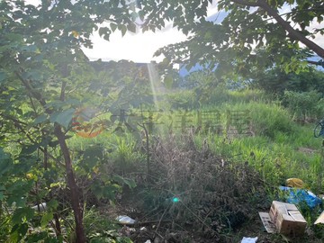 龜山大坑休閒農地2｜桃園市龜山區大坑